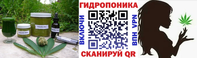 где можно купить   Тотьма  Canna-Cookies конопля 