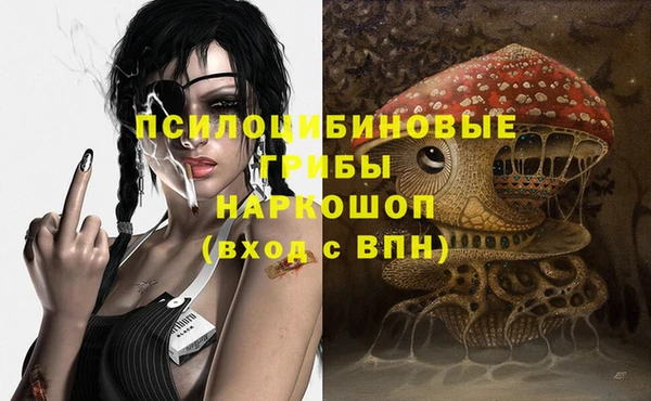 гашик Медвежьегорск