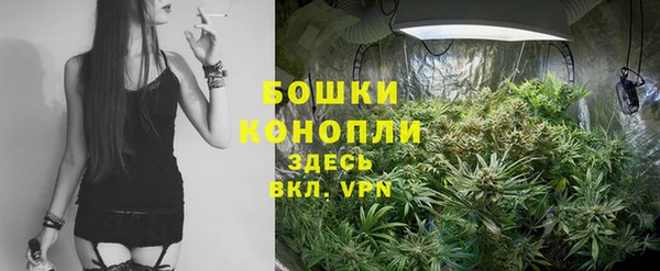 стафф Магас
