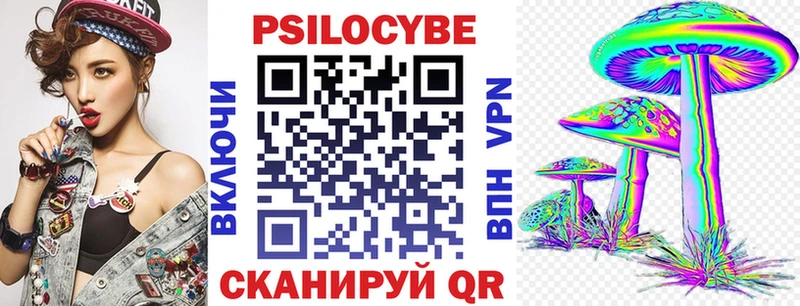 Псилоцибиновые грибы Psilocybine cubensis  Тотьма 